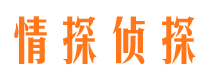 绍兴找人公司